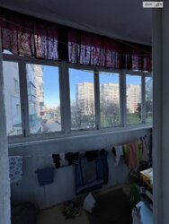 ✨ **           !**  14