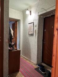 2-      , .  , 12! 🌿  5