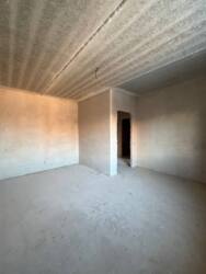 1-  +    '' () 🌳  4