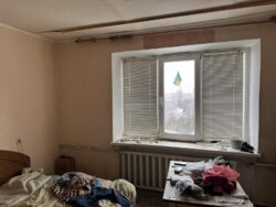 💎 �������� ������� ��� ����� �� ������: 2� �� ����������! ���� 4