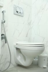 ������� 1-������� �������� � �������������! 💎 ���� 15