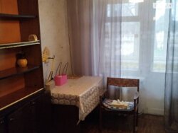 🌳 ����Ҳ� �� ������� ��� ���ί ������! 3� �������� �� ������������ 🏢✨ ���� 20