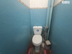 ✨ �������� ����ֲ� ��� ������! ���� 7