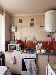 2-      , .  , 12! 🌿  8