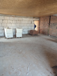 ������, ���� ������ ���� 39