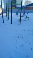 ✨ ������������ ���������� � ��� �������: 1� �������� �� ���. ������������, 31/1� ���� 9