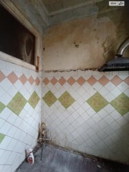 3-          ! 🌿  11