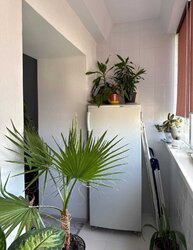 Світла 4-кімнатна квартира в районі Озерна! фото 8 Світла 4-кімнатна квартира в районі Озерна! фото 8