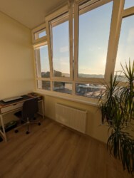 🌟 **     !** 🌟  10