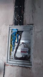 ✨ ������������ ���������� � ��� �������: 1� �������� �� ���. ������������, 31/1� ���� 2