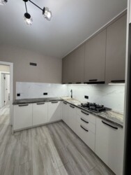 1-     -    ()! ✨  4