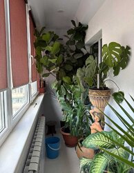 Світла 4-кімнатна квартира в районі Озерна! фото 9 Світла 4-кімнатна квартира в районі Озерна! фото 9