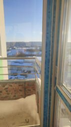 ✨ ������������ ���������� � ��� �������: 1� �������� �� ���. ������������, 31/1� ���� 3