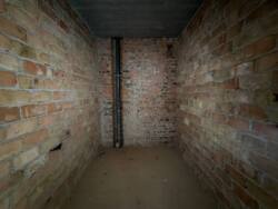 1-  +    '' () 🌳  2