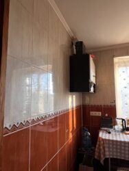 2-      , .  , 12! 🌿  7