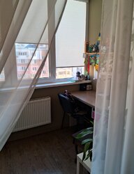 ✨ ��������-����������� �� ����������: ��� ������� �� ��������� ����������! ���� 7