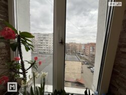 ��������� �������� ������������, ����������� ���� 2