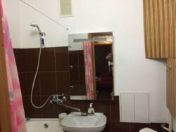 🌟    1- ,      ! 🌟  5