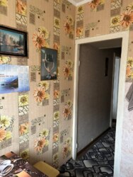 ��������� �������� �����������, ������������, ϳ������-�����, �������� ����, 8 ���� 7