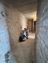 ✨ �ʲ��� ²� '�����' �� ����� ����ֲ�! 2� �������� �� �������� 🏢💎 ���� 10