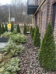 🌿 3-       Status Residence 🌿  3