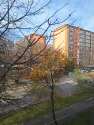 1-     , . ! 🌳✨  11