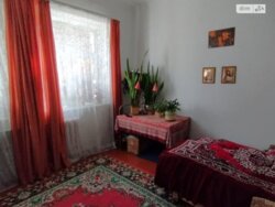 ✨  3-     ! 🌳  1