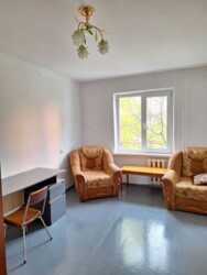 1-     , . ! 🌳✨  3