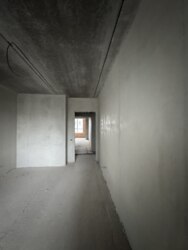 ��������� �������� �����������, ������������, ��������, ������, 14 ���� 2