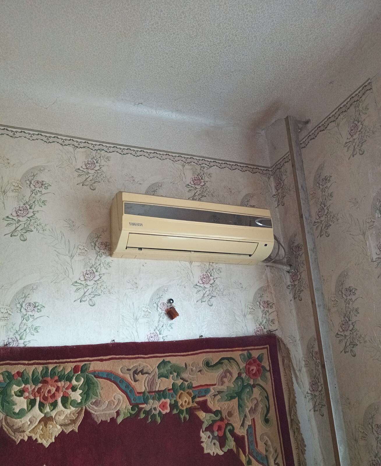 ������ ���������� �������� � ����� ���� ���� 1