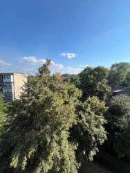 3 комнатная для реализации твоей МЕЧТЫ! фото 9 3 комнатная для реализации твоей МЕЧТЫ! фото 9