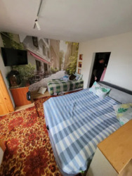 ������ 1� �������� ���� 12