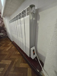 ������ 1� �������� ���� 8