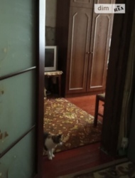 ������ 2�.�������� �������� ���� 4