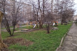 ������ ���������� �������� � ����� ���� ���� 18