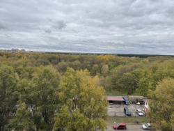 ������ 3� ��������� ���� 16