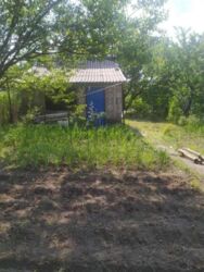 ������ ���� ������ ���� ���������. ���� 6