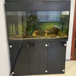 Продам 5-ти комнатную фото 8 Продам 5-ти комнатную фото 8