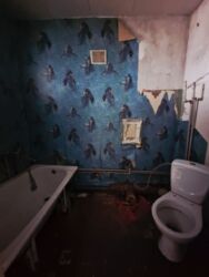 ������ 1� �������� ���� 5