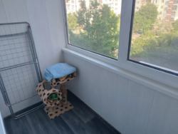 ������ 2� ��������� ���� 16