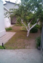 ��� � �/� ����� ���� 5