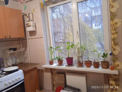 ������ 1� �������� ���� 3