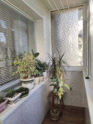 ������ 2� ����� ���� 7