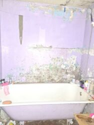 Продам 3-комнатную квартиру на левом берегу г. Каменское! фото 8 Продам 3-комнатную квартиру на левом берегу г. Каменское! фото 8