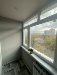 ������ 3-���. ˳��� �����. 10 ���������. ���� 11