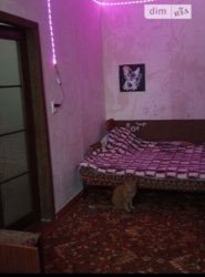 ������ 2�.�������� �������� ���� 2