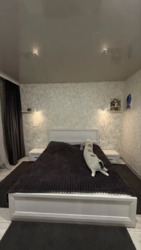 ������ 2-� ��������� �������� (����� �����). ���� 15