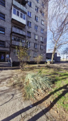 ������ 1� �������� ���� 1