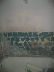 ������ 3� ��������� ���� 14