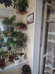 Продам или Обмен на 3х или 4х комнатную. фото 10 Продам или Обмен на 3х или 4х комнатную. фото 10